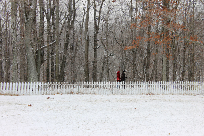 Illustration for article titled An invisible mirrored fence is way better than a white picket fence